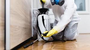 Emergency Pest Control Services in Springboro, OH